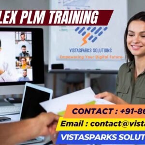 Flex PLM training