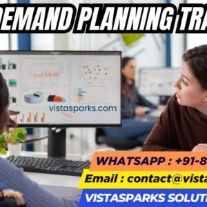 Infor Demand Planning Online Training