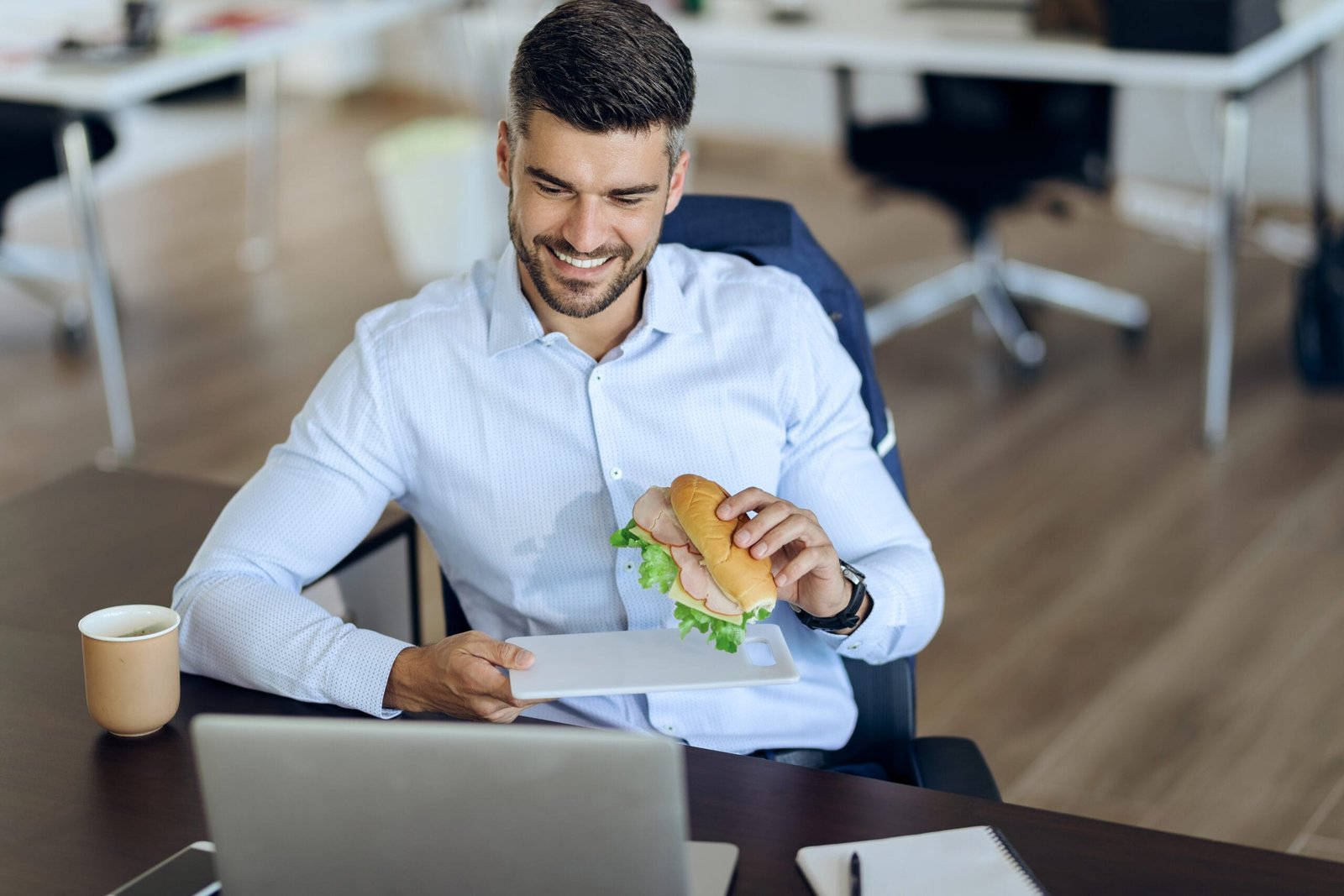 Seeburger Training - Vistasparks Solutions