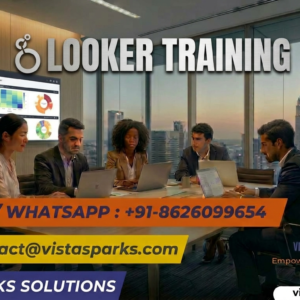 Looker Training