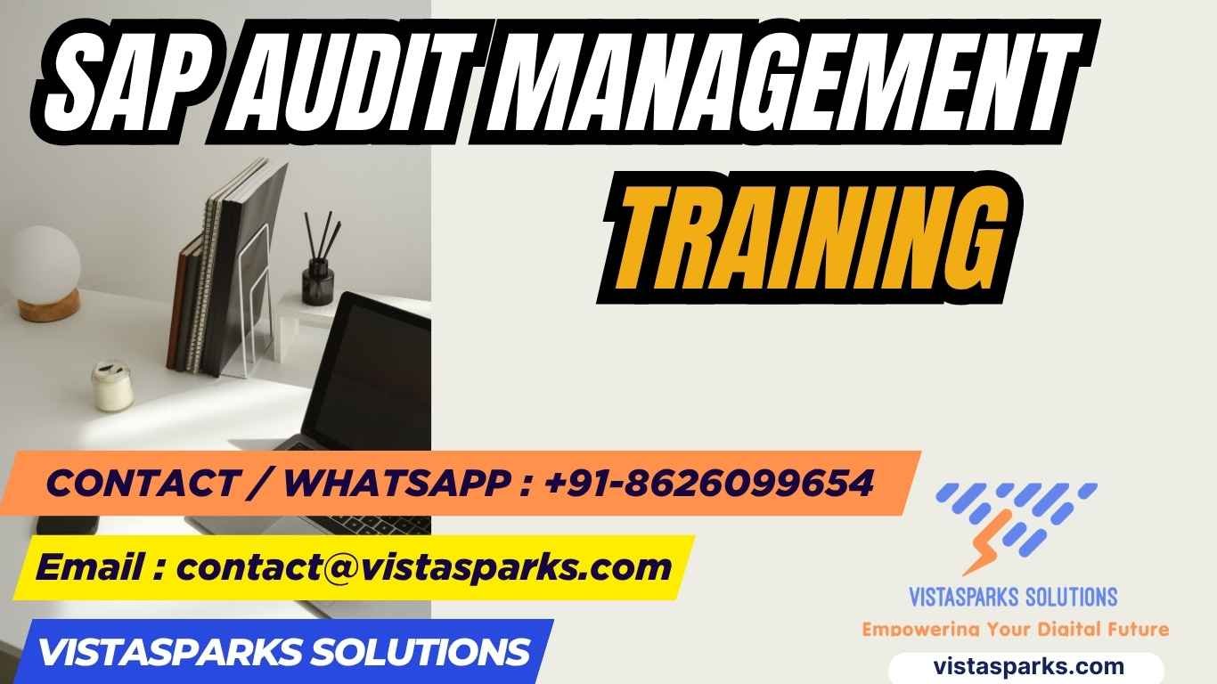 SAP Audit Management