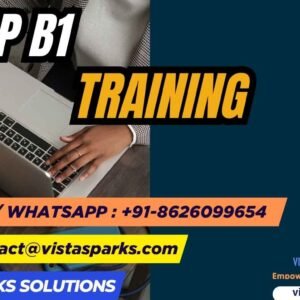 SAP B1