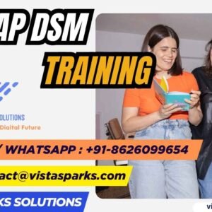 SAP DSM