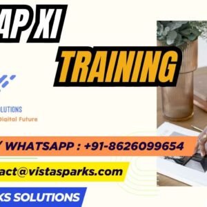 SAP XI Training