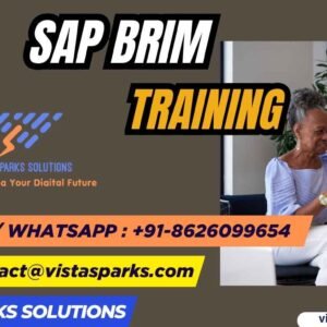 SAP BRIM Training