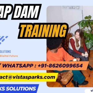 SAP DAM