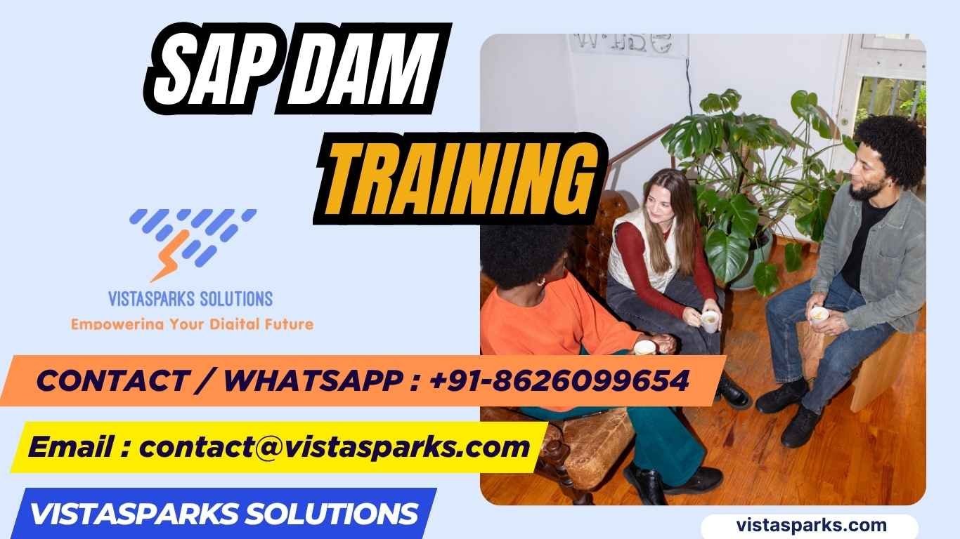 SAP DAM
