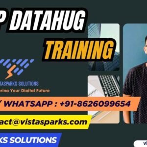 SAP Datahug