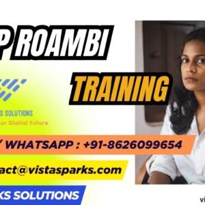 SAP Roambi Training