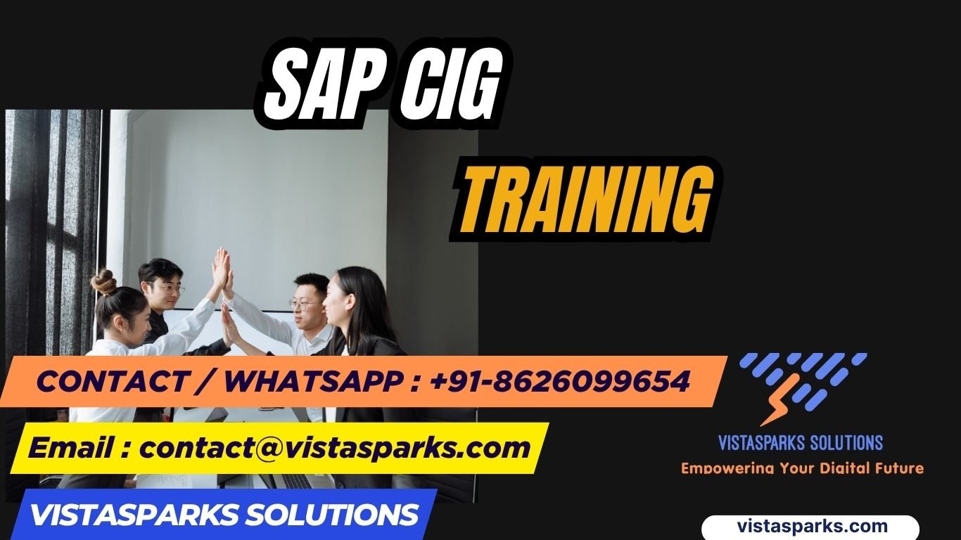 SAP CIG Training