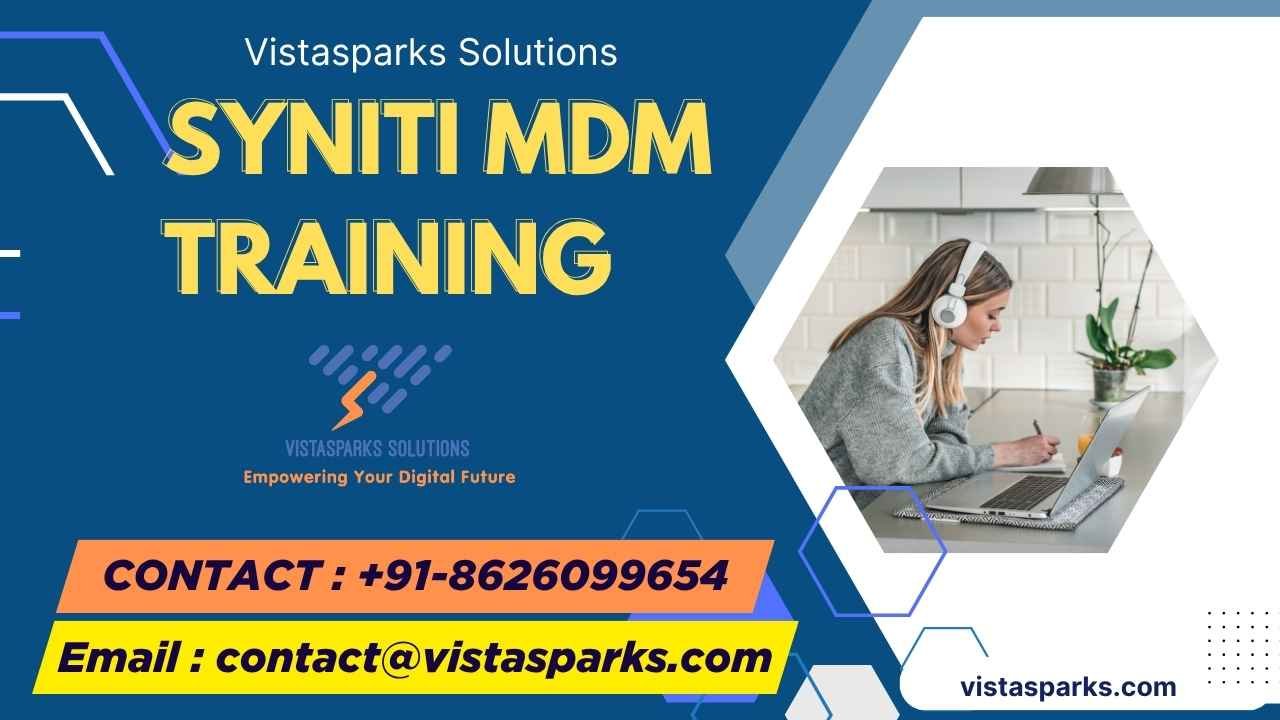 Syniti MDM training